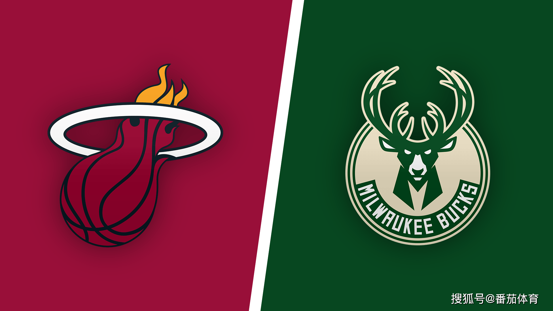 进行细致分 进行细致分